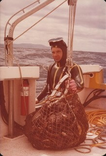 Ziebell's handfish | Handfish Conservation Project